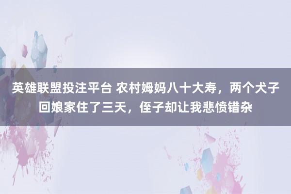 英雄联盟投注平台 农村姆妈八十大寿，两个犬子回娘家住了三天，侄子却让我悲愤错杂