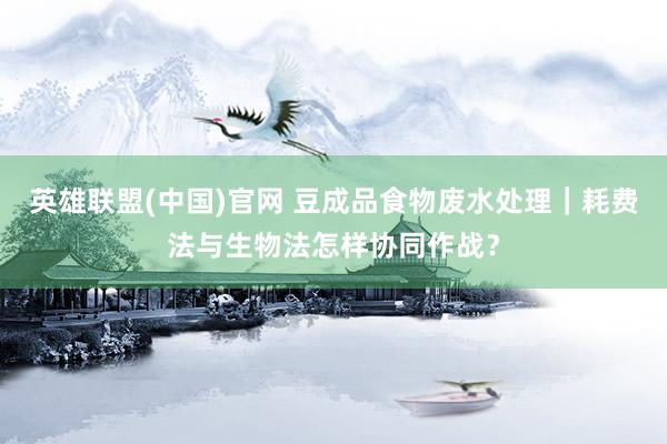 英雄联盟(中国)官网 豆成品食物废水处理｜耗费法与生物法怎样协同作战？