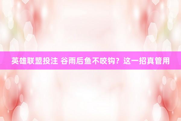 英雄联盟投注 谷雨后鱼不咬钩？这一招真管用