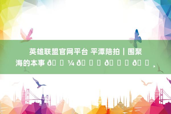 英雄联盟官网平台 平潭陪拍｜围聚海的本事 𓇼 𓂂𓈒𓏸