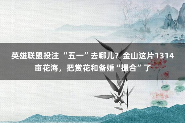 英雄联盟投注 “五一”去哪儿？金山这片1314亩花海，把赏花和备婚“撮合”了