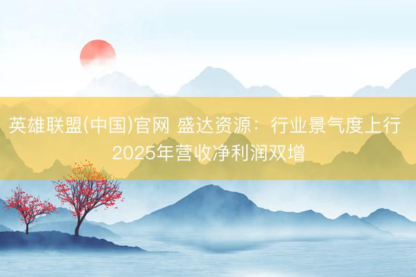 英雄联盟(中国)官网 盛达资源：行业景气度上行 2025年营收净利润双增